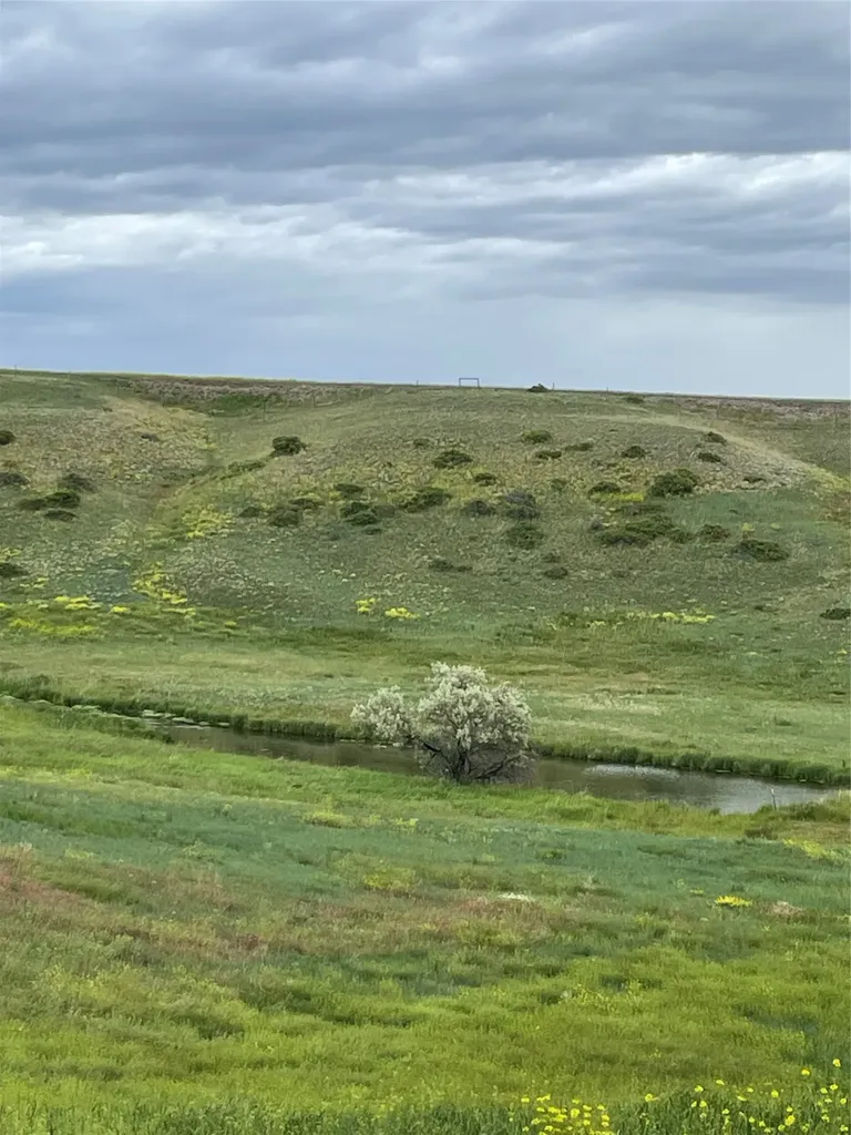 1137 Us Highway 89 Sun River MT 59483
