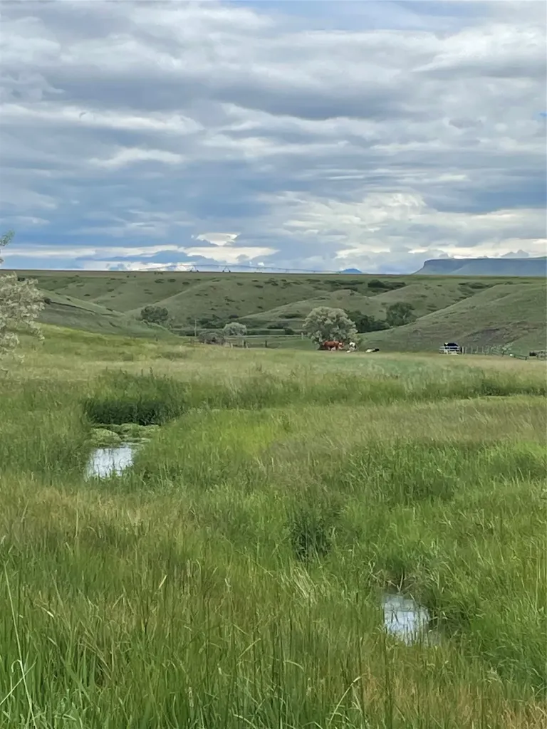 1137 Us Highway 89 Sun River MT 59483