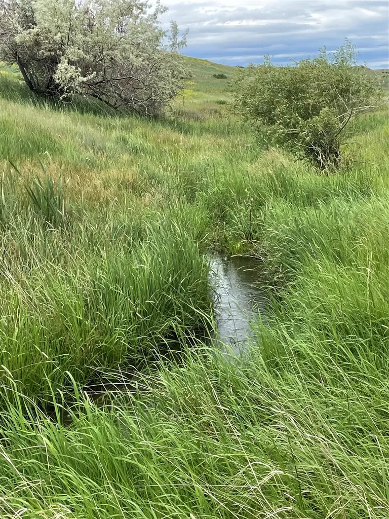 1137 Us Highway 89 Sun River MT 59483
