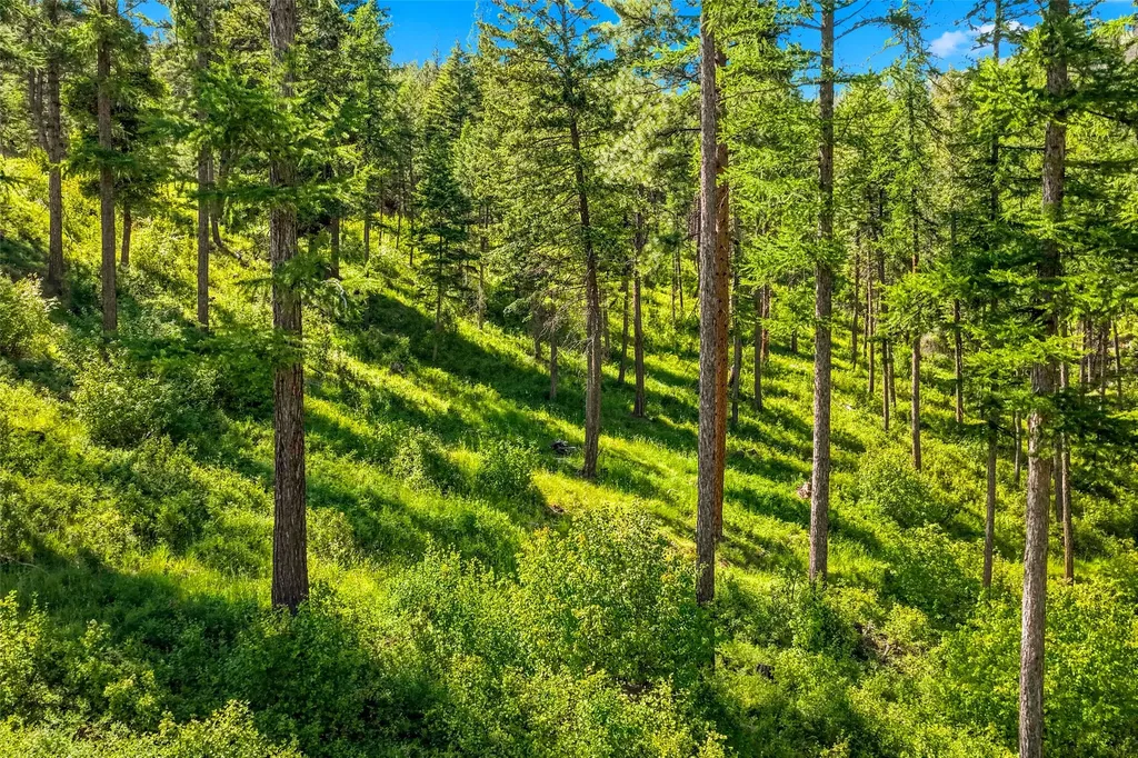 Nhn Pattee Canyon Road Missoula MT 59803