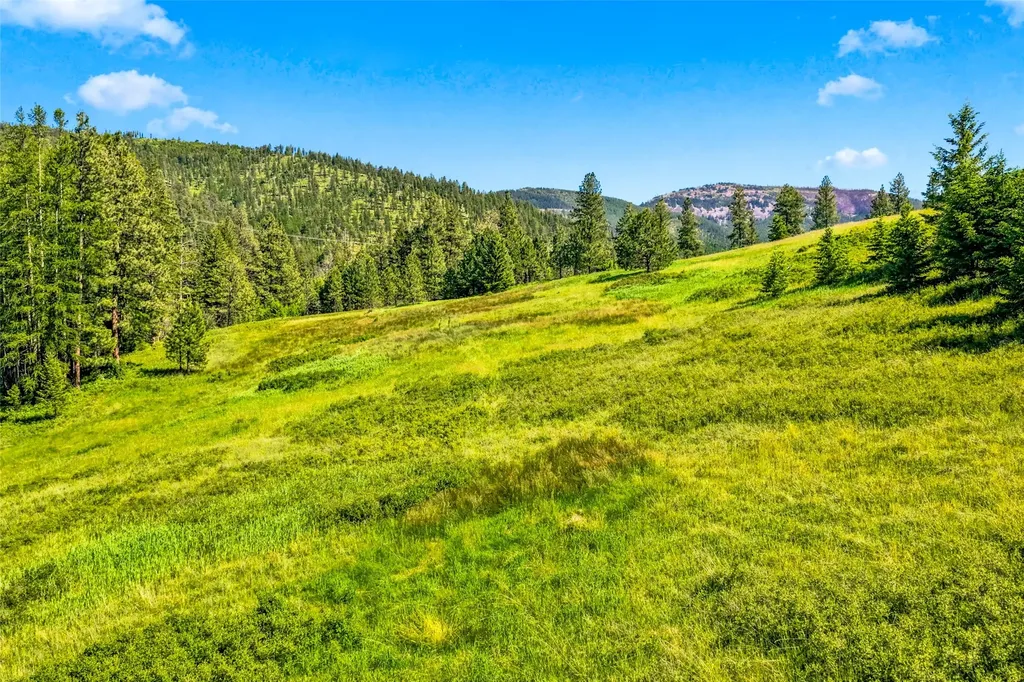 Nhn Pattee Canyon Road Missoula MT 59803