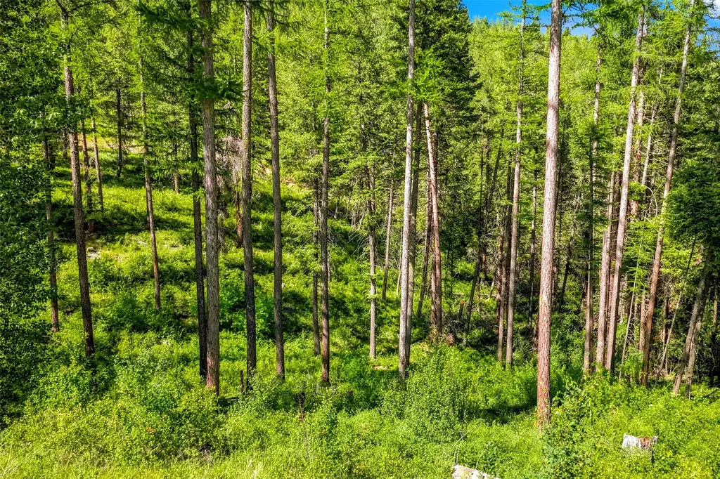 Nhn Pattee Canyon Road Missoula MT 59803