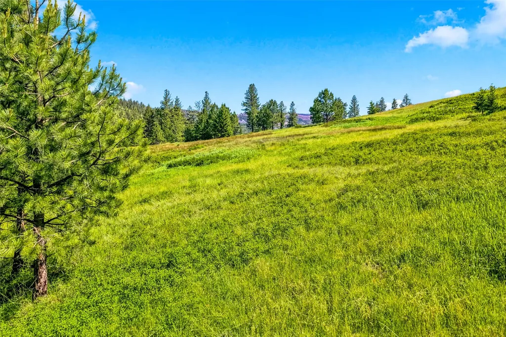 Nhn Pattee Canyon Road Missoula MT 59803