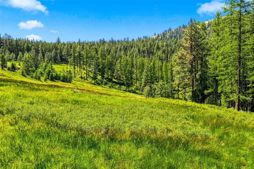 Nhn Pattee Canyon Road Missoula MT 59803