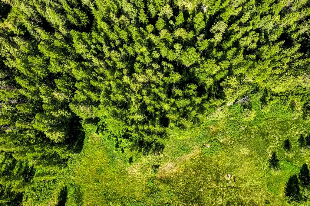 Nhn Pattee Canyon Road Missoula MT 59803