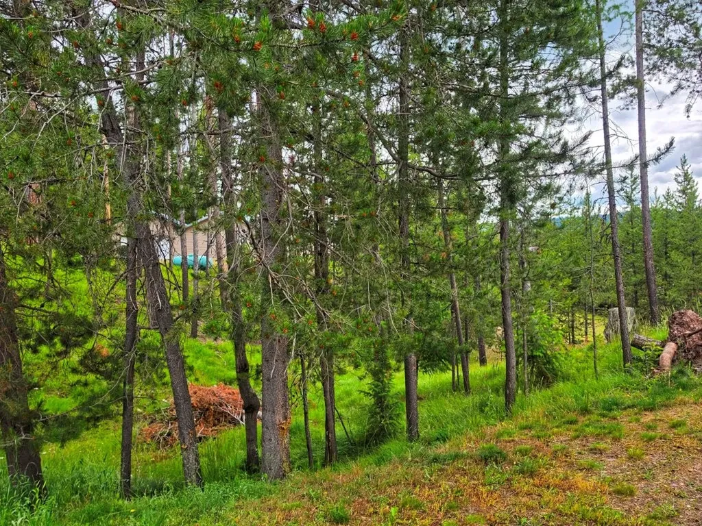 992 Juniper Drive Seeley Lake MT 59868