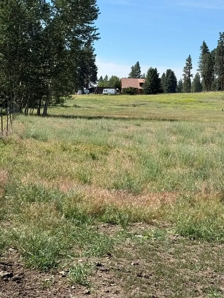 226 Sweathouse Creek Road Victor MT 59875