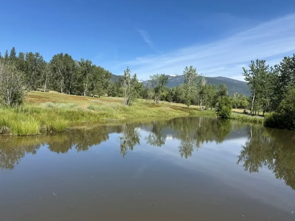 226 Sweathouse Creek Road Victor MT 59875