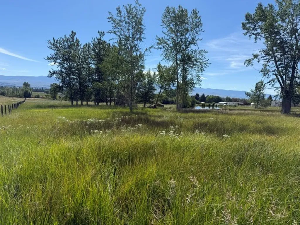 226 Sweathouse Creek Road Victor MT 59875