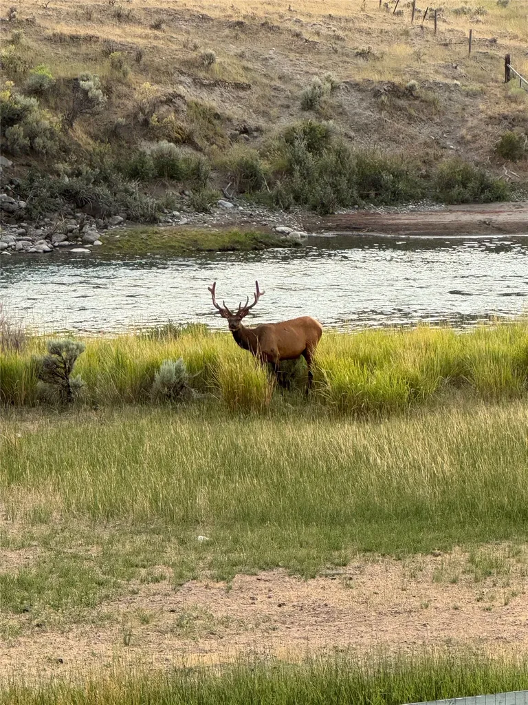 521 Us Highway 89 S Gardiner MT 59030