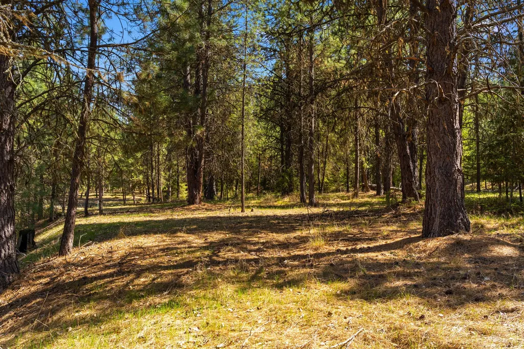 Lot 46 Old Mill Loop St Regis MT 59866