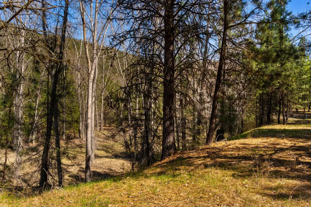 Lot 46 Old Mill Loop St Regis MT 59866