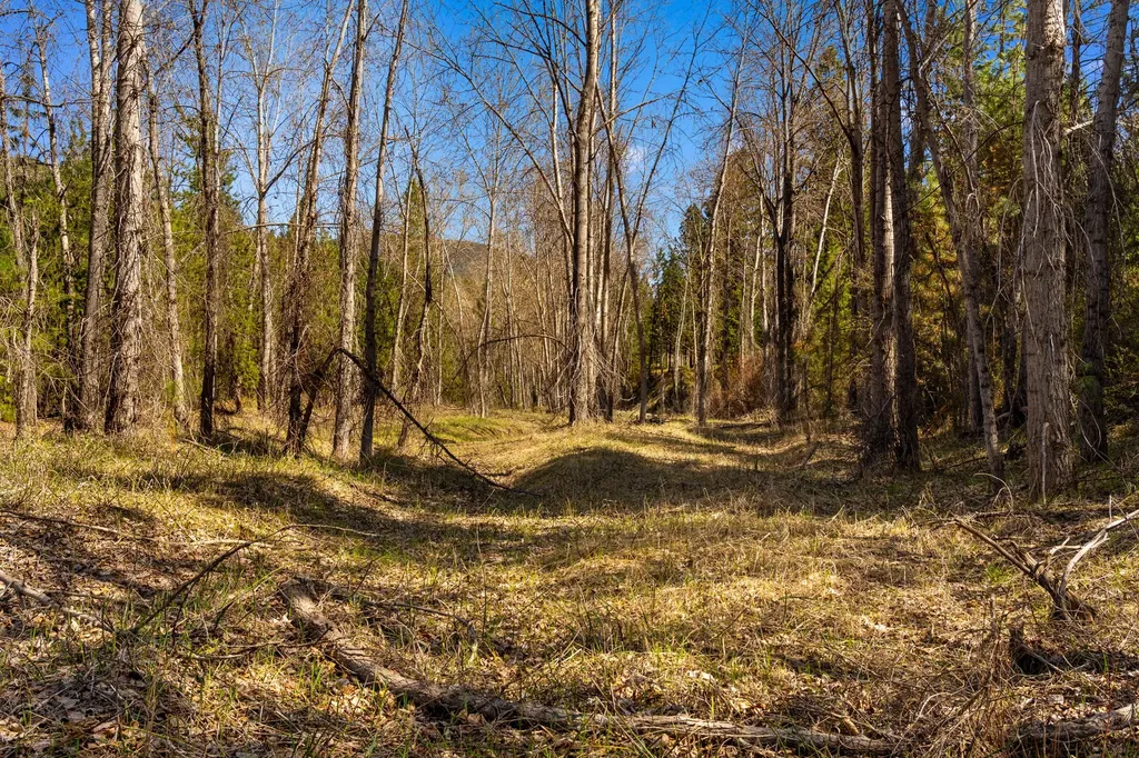 Lot 46 Old Mill Loop St Regis MT 59866