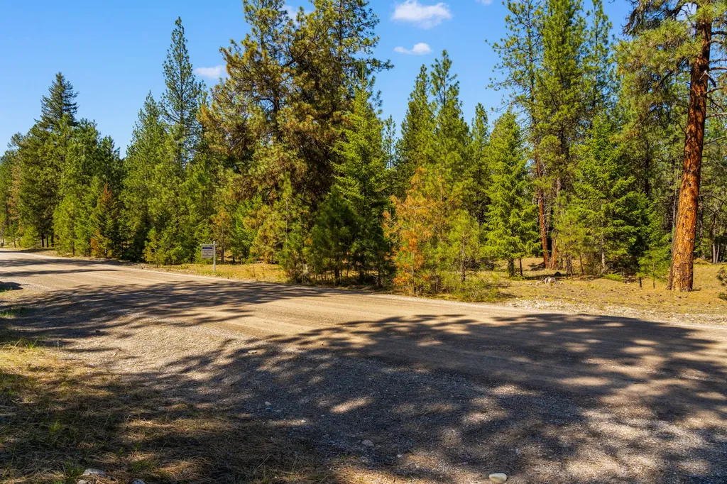 Lot 46 Old Mill Loop St Regis MT 59866