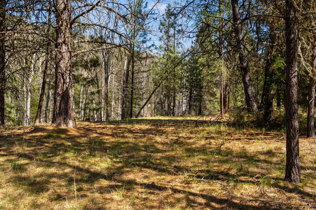 Lot 46 Old Mill Loop St Regis MT 59866