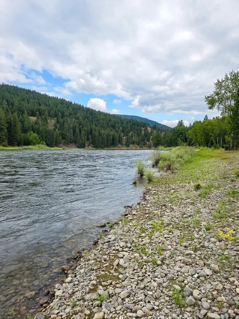 Lot 46 Old Mill Loop St Regis MT 59866
