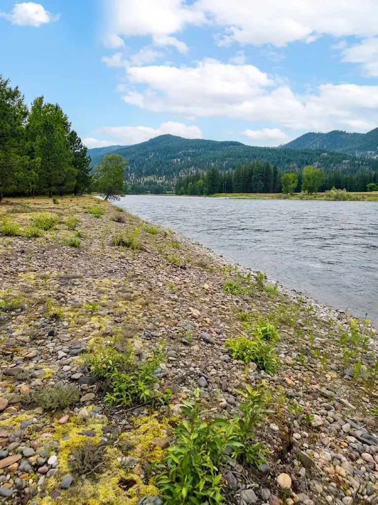 Lot 46 Old Mill Loop St Regis MT 59866