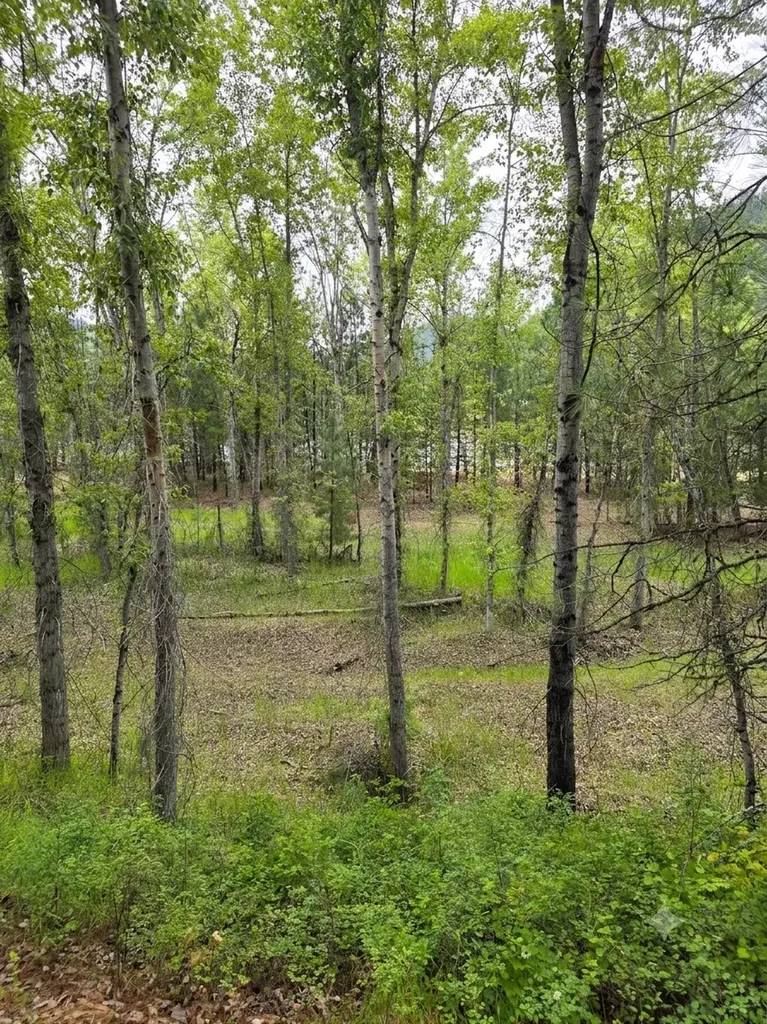 Lot 46 Old Mill Loop St Regis MT 59866
