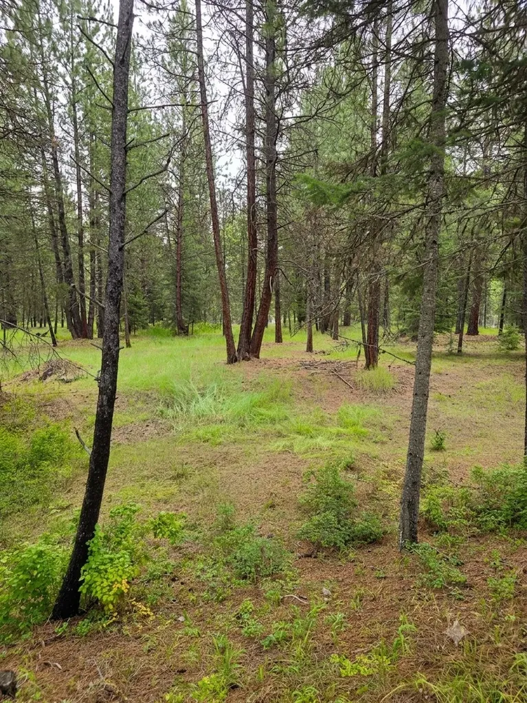 Lot 46 Old Mill Loop St Regis MT 59866