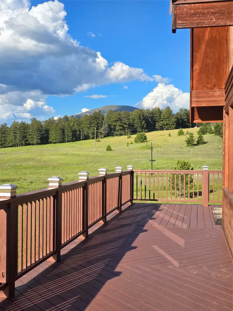 41 Handlos Lane Philipsburg MT 59858