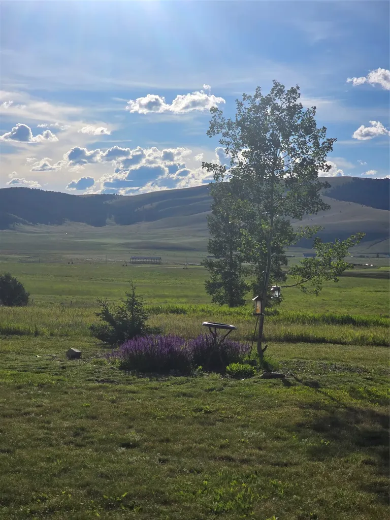 41 Handlos Lane Philipsburg MT 59858