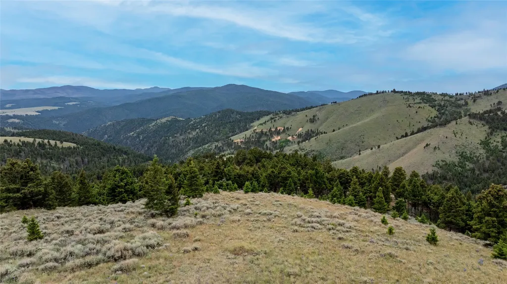 Bald Hill Lode Basin MT 59631