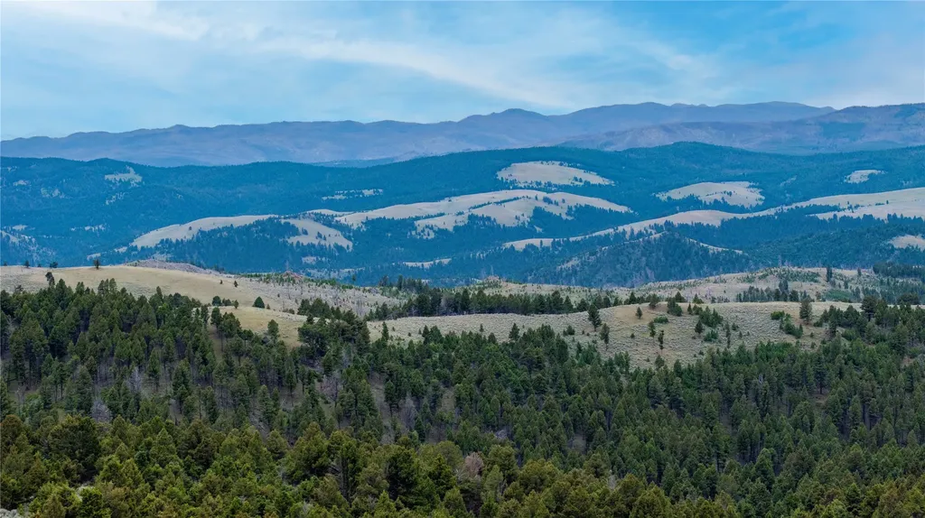 Bald Hill Lode Basin MT 59631
