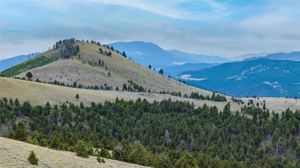 Bald Hill Lode Basin MT 59631