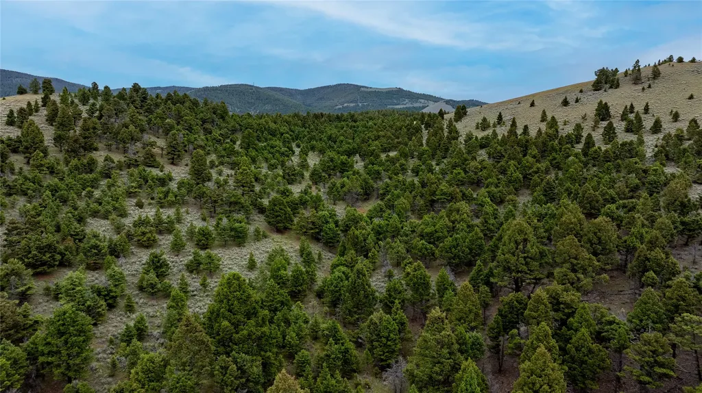 Bald Hill Lode Basin MT 59631