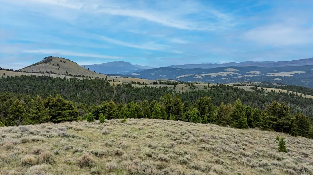 Bald Hill Lode Basin MT 59631