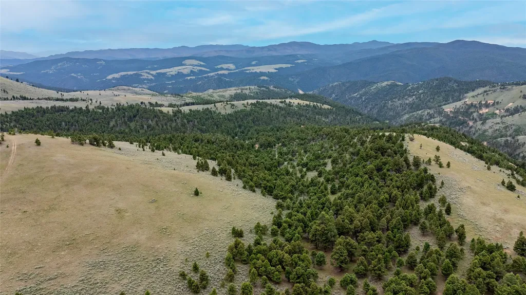 Bald Hill Lode Basin MT 59631