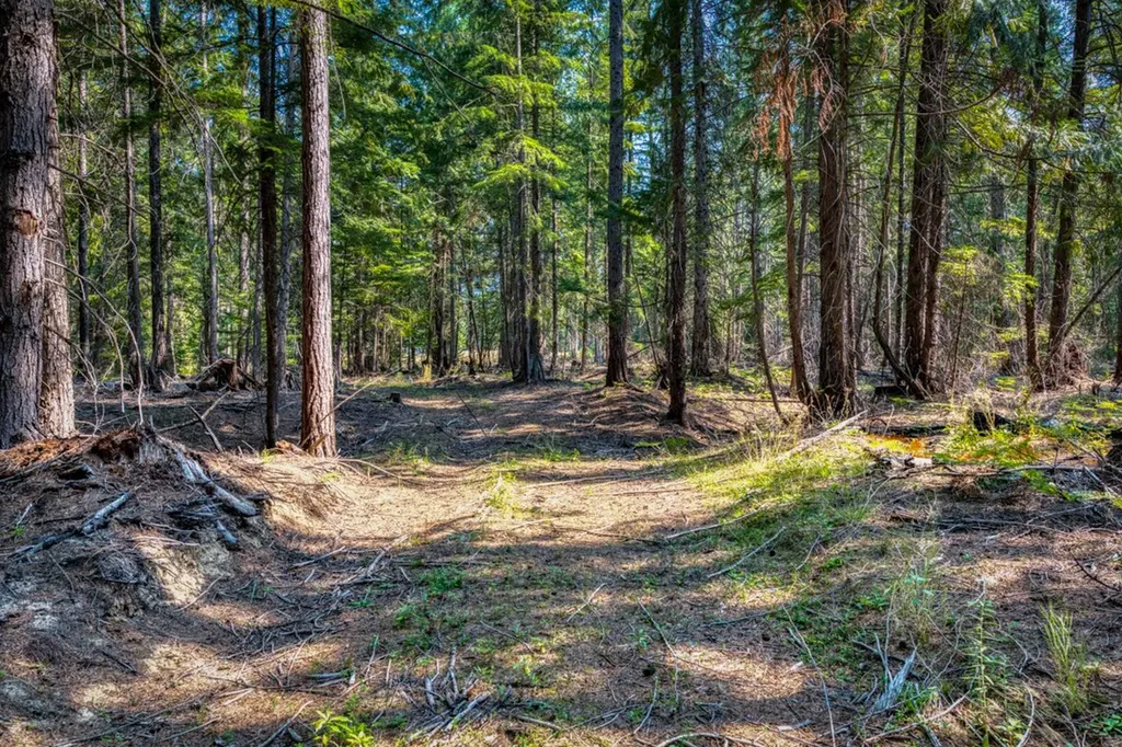 Nna Bull Lake Lane Troy MT 59935