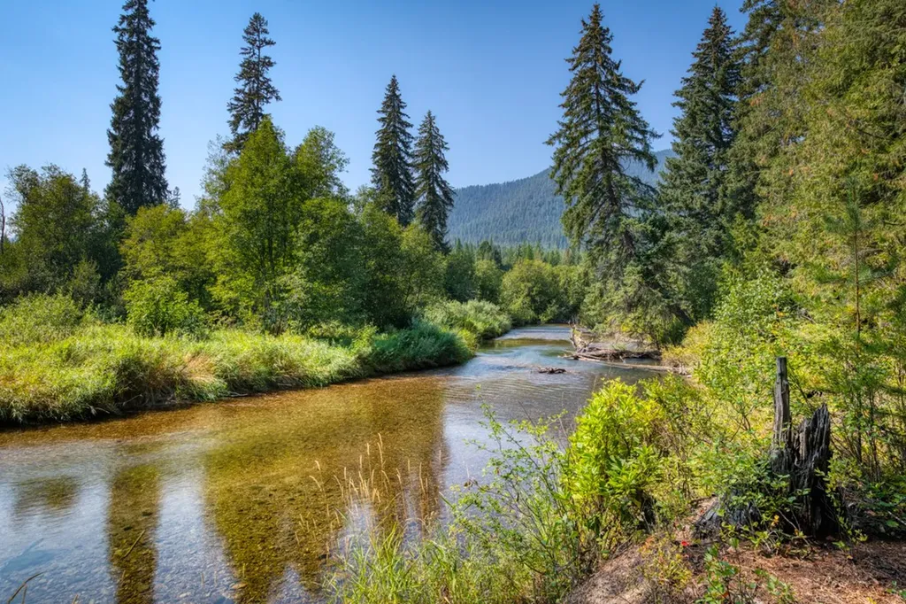 Nna Bull Lake Lane Troy MT 59935