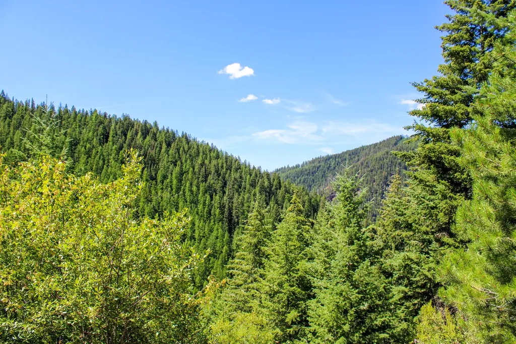 Tract 1 Pardee Flat Road Superior MT 59872