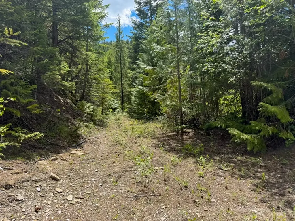 Tract 1 Pardee Flat Road Superior MT 59872
