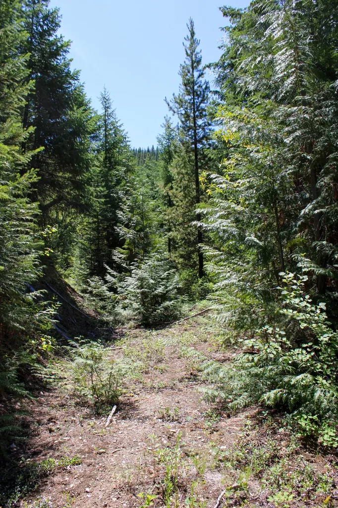 Tract 1 Pardee Flat Road Superior MT 59872