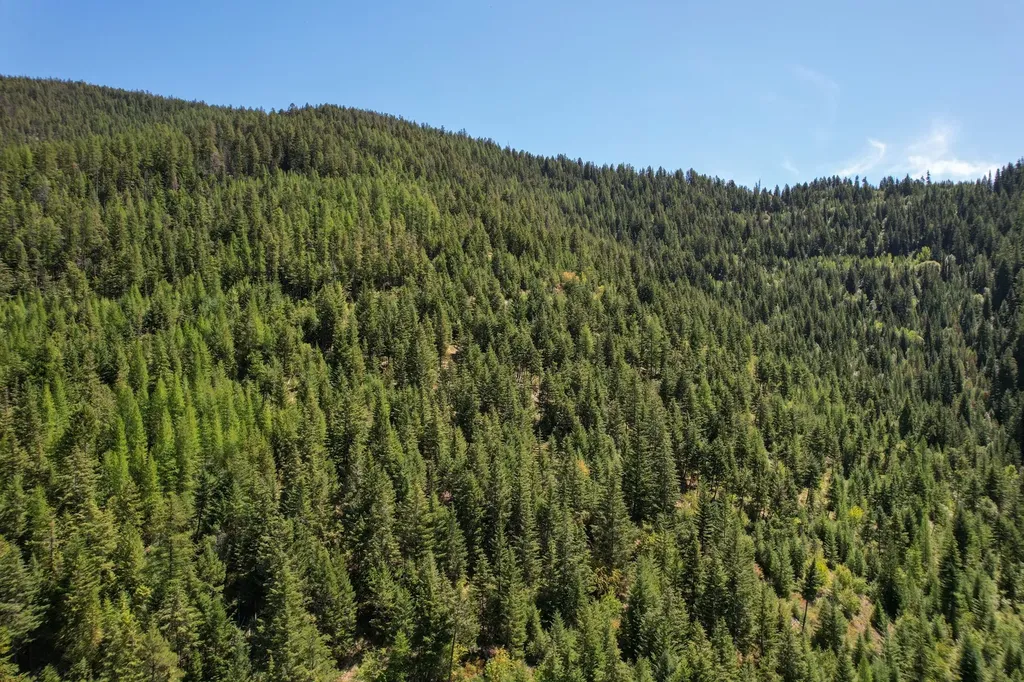 Tract 1 Pardee Flat Road Superior MT 59872