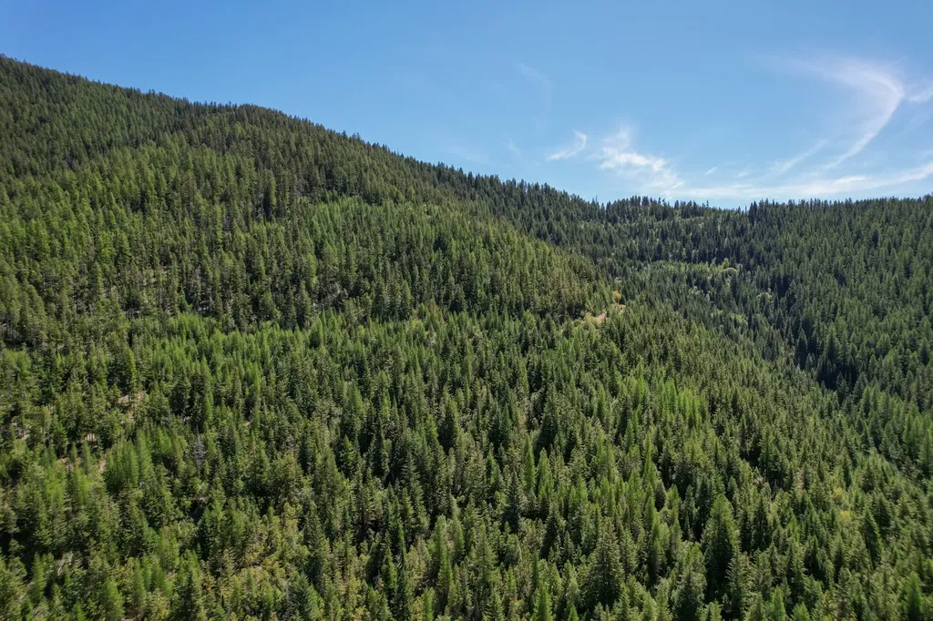 Tract 1 Pardee Flat Road Superior MT 59872