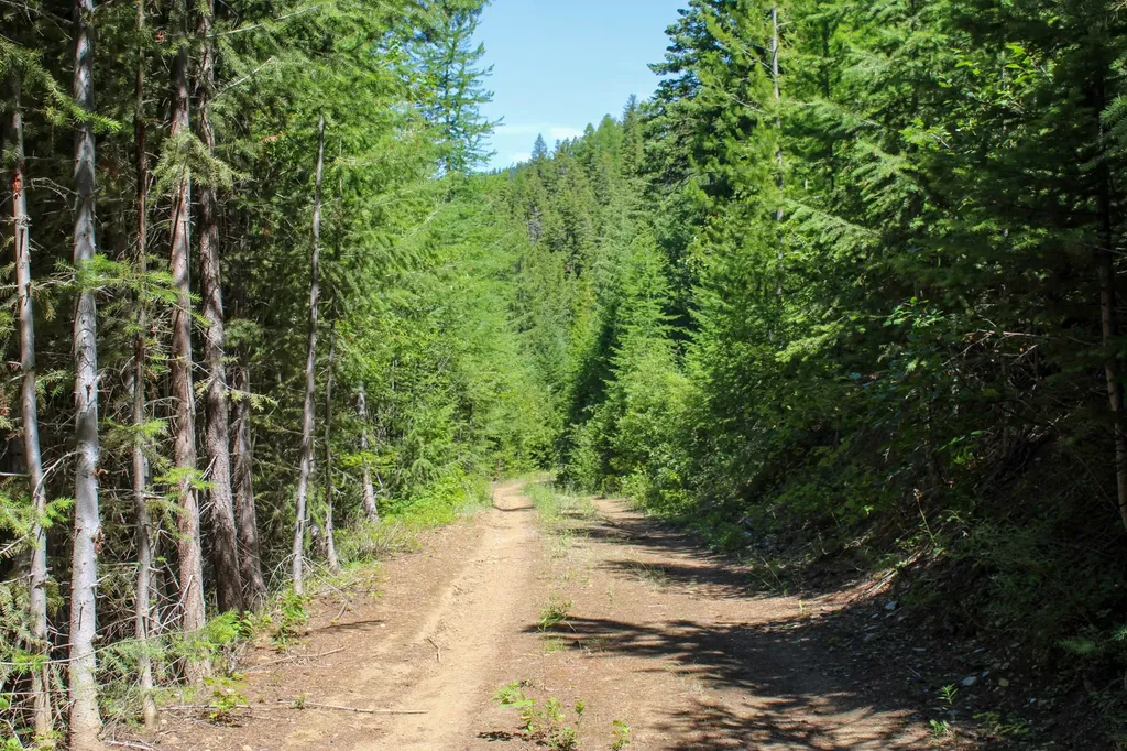 Tract 1 Pardee Flat Road Superior MT 59872
