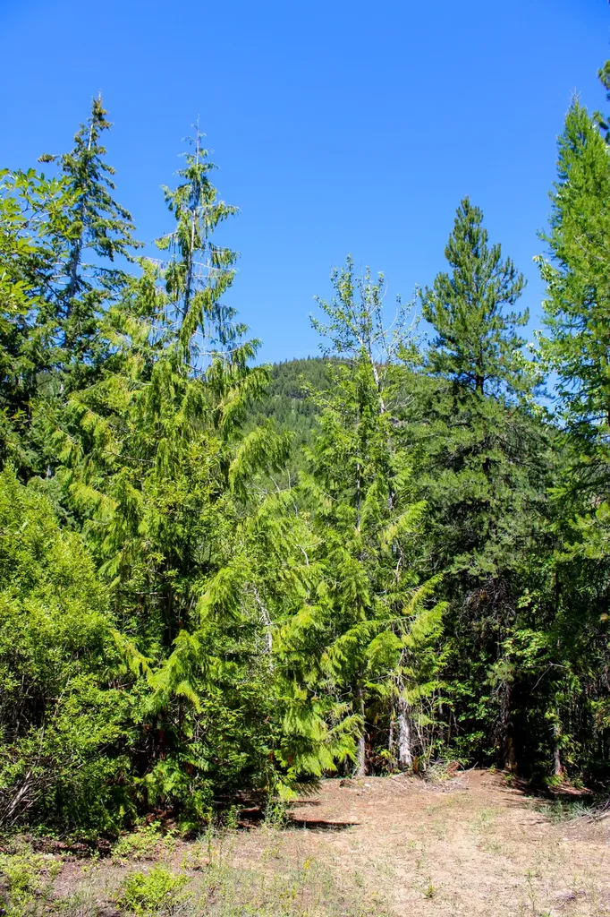 Tract 1 Pardee Flat Road Superior MT 59872