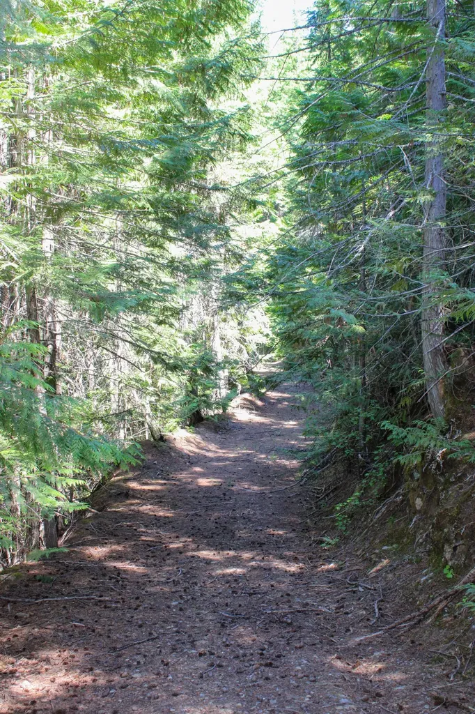 Tract 1 Pardee Flat Road Superior MT 59872
