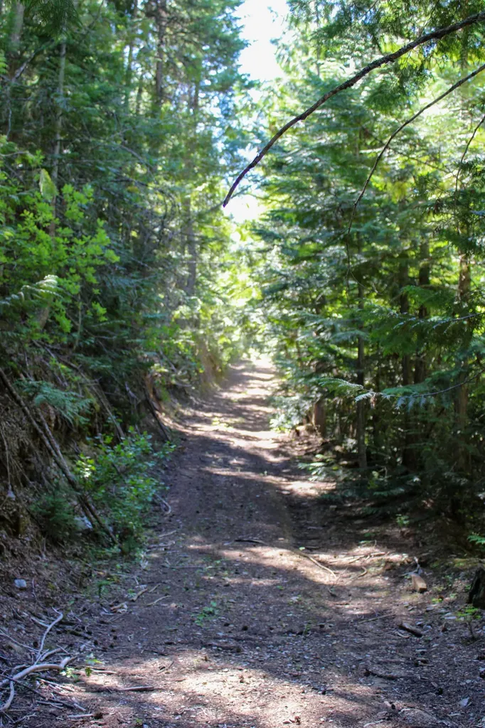 Tract 1 Pardee Flat Road Superior MT 59872
