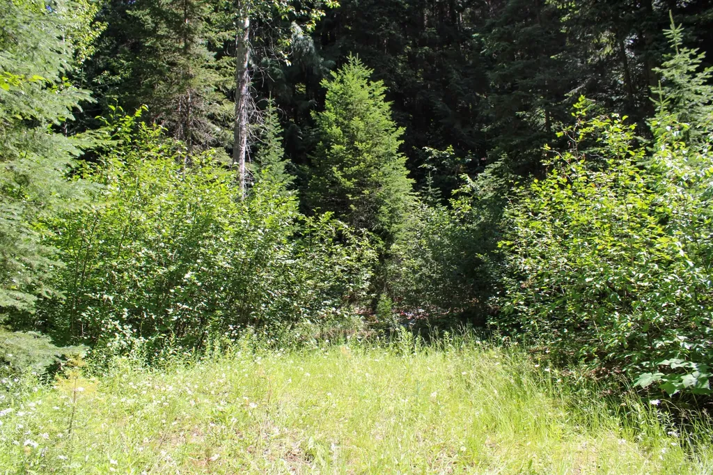 Tract 1 Pardee Flat Road Superior MT 59872