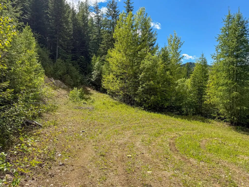 Tract 1 Pardee Flat Road Superior MT 59872