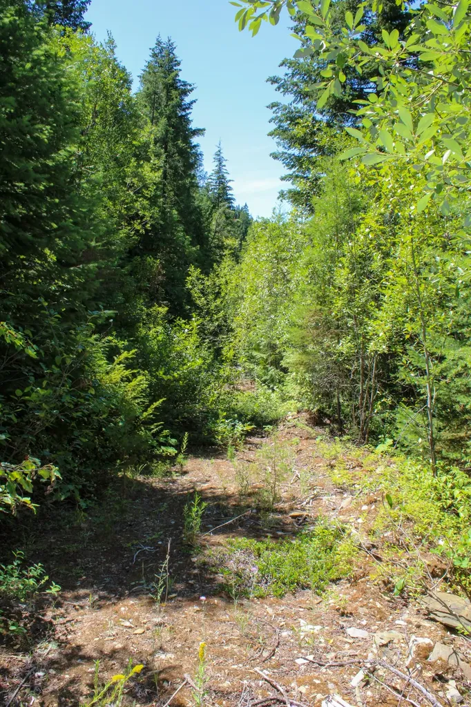 Tract 1 Pardee Flat Road Superior MT 59872