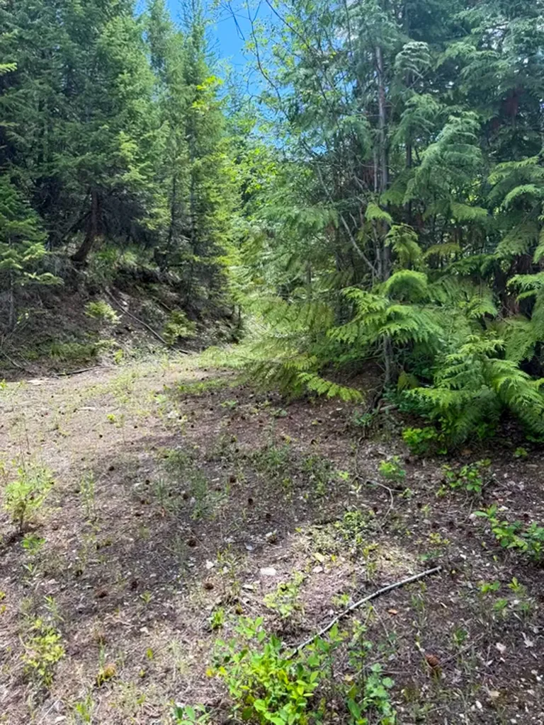 Tract 1 Pardee Flat Road Superior MT 59872