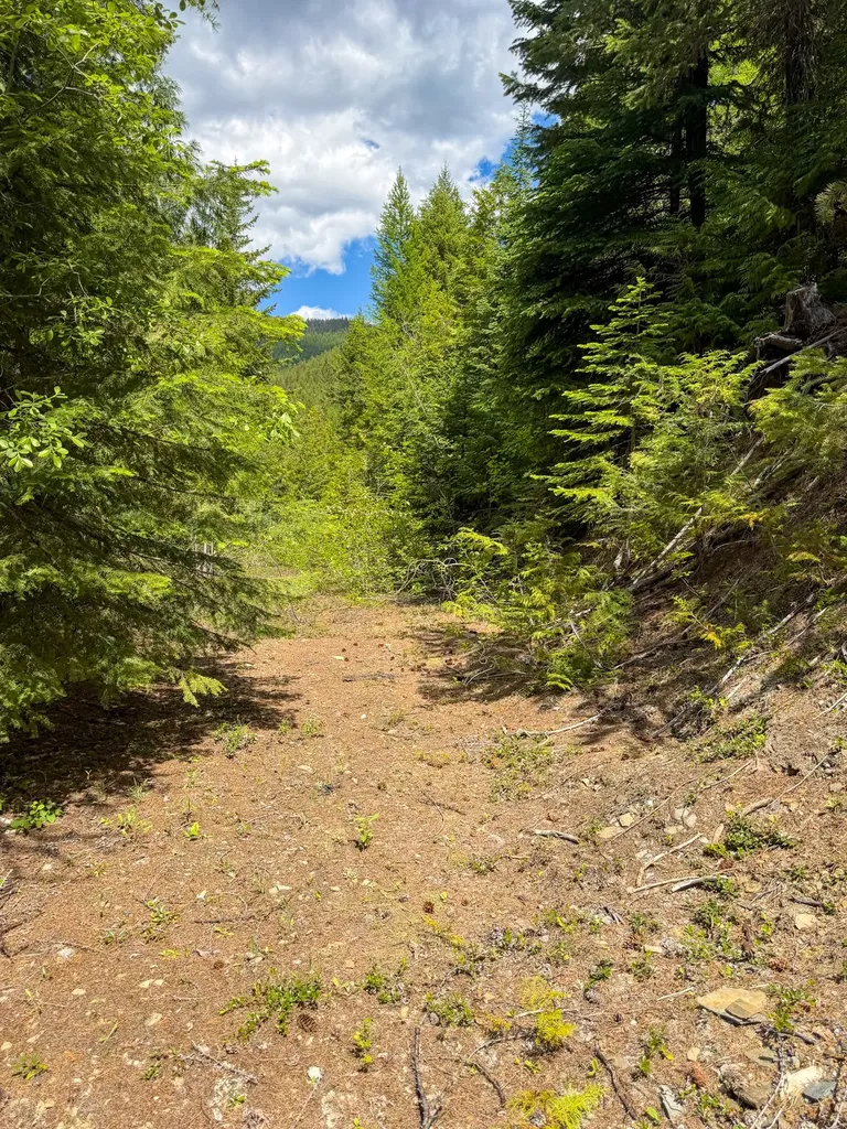 Tract 1 Pardee Flat Road Superior MT 59872