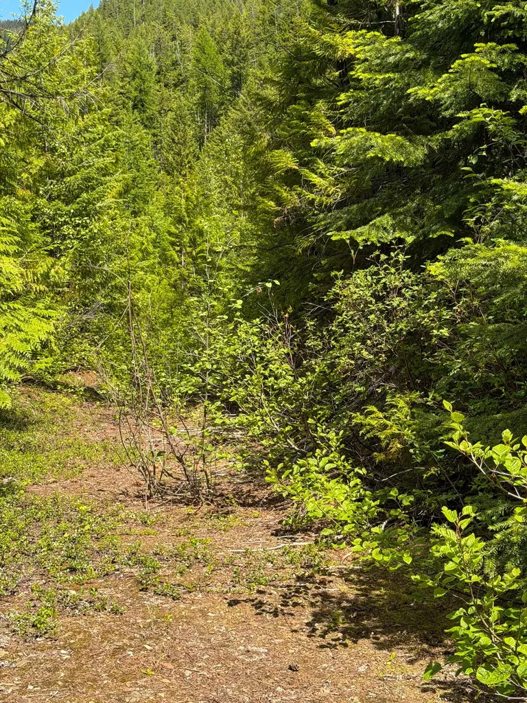 Tract 1 Pardee Flat Road Superior MT 59872