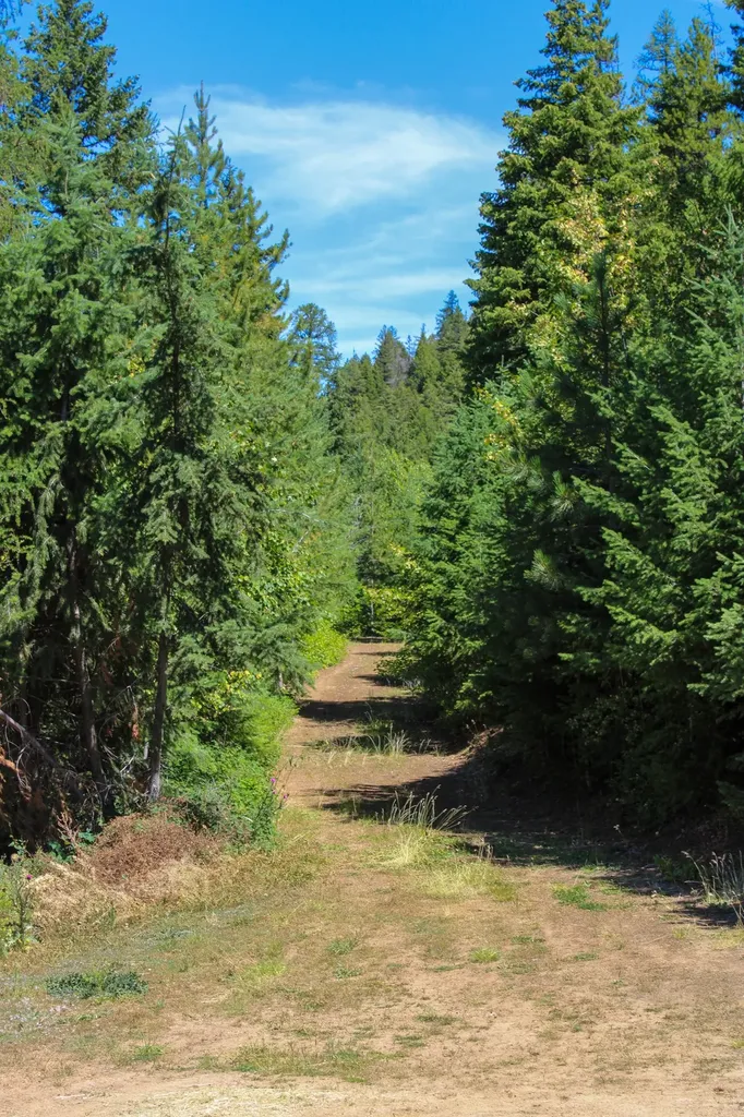 Tract 1 Pardee Flat Road Superior MT 59872