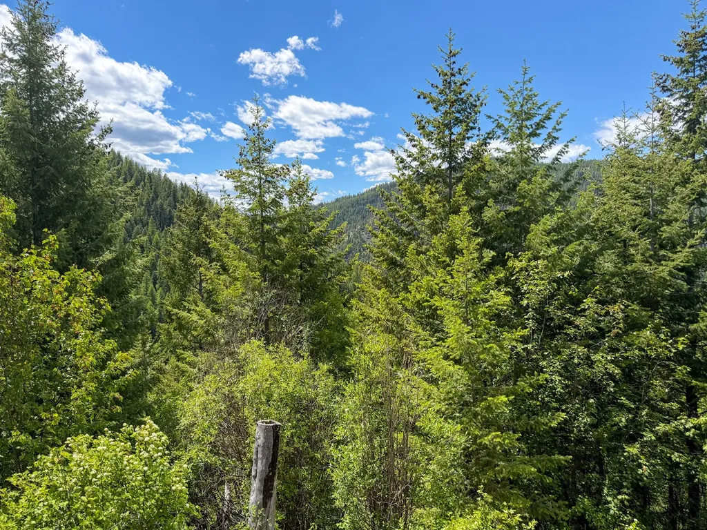 Tract 1 Pardee Flat Road Superior MT 59872